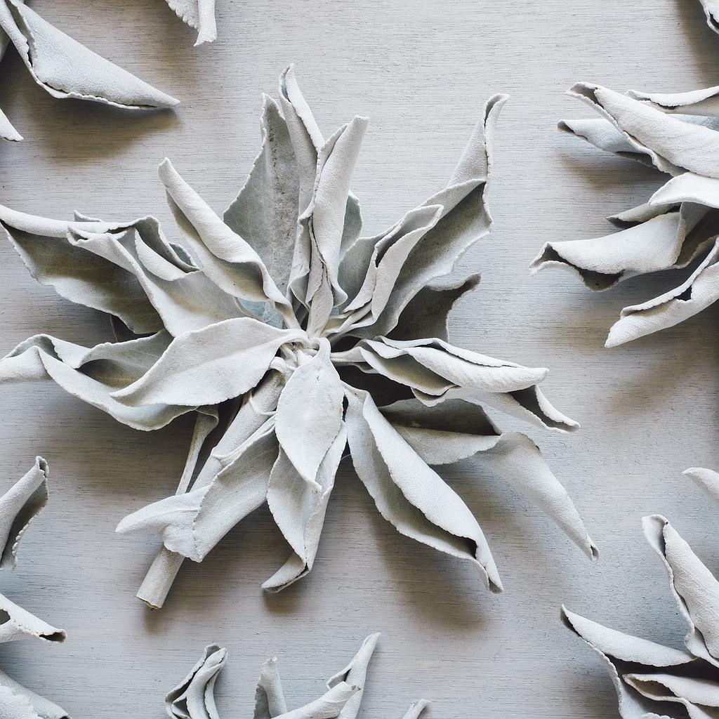 White Sage Fragrance Oil Majestic Mountain Sage, Inc.