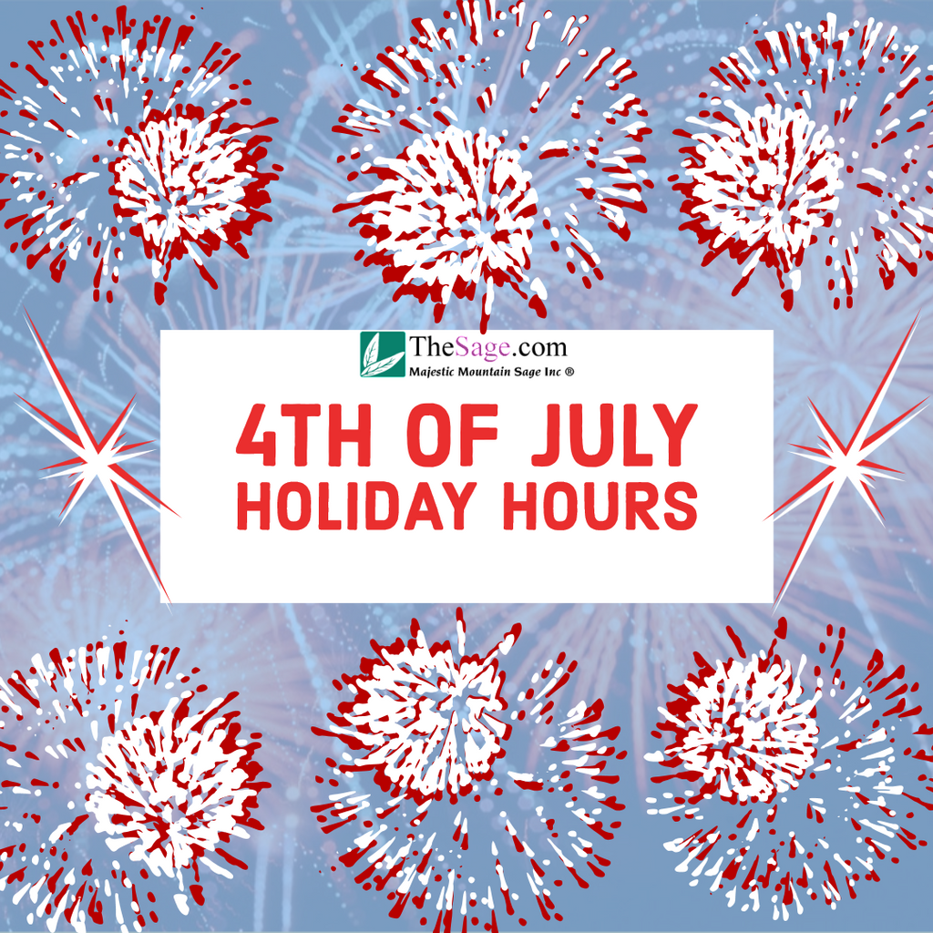 Independence Day 2019