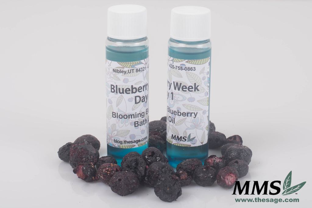Blueberry Week Day 1 - Blooming Blueberry Bath Oil