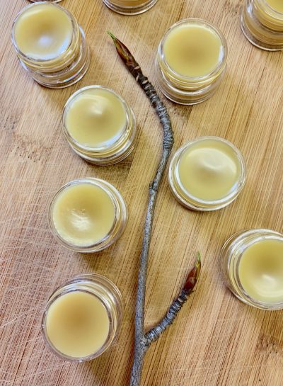 Salve made with Balsam Poplar-infused Olive Oil