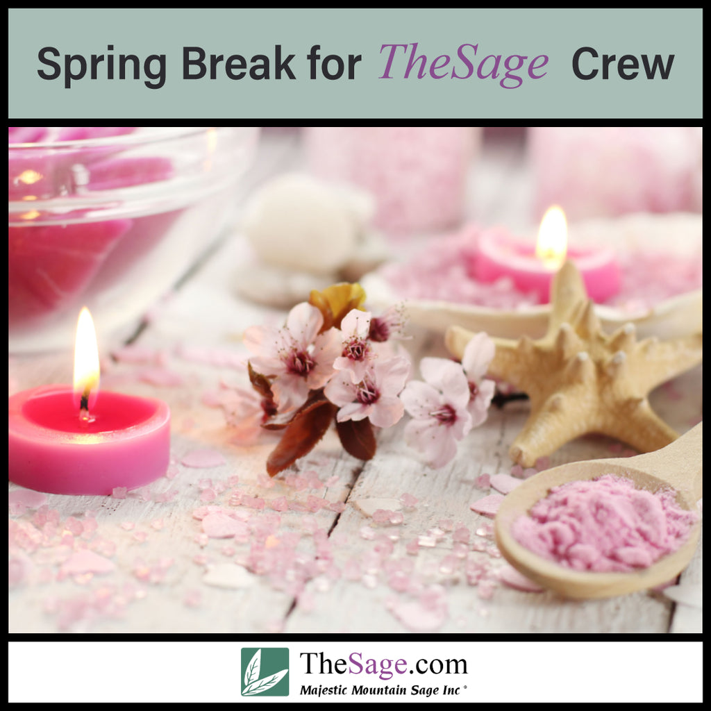 Spring Break for TheSage Crew