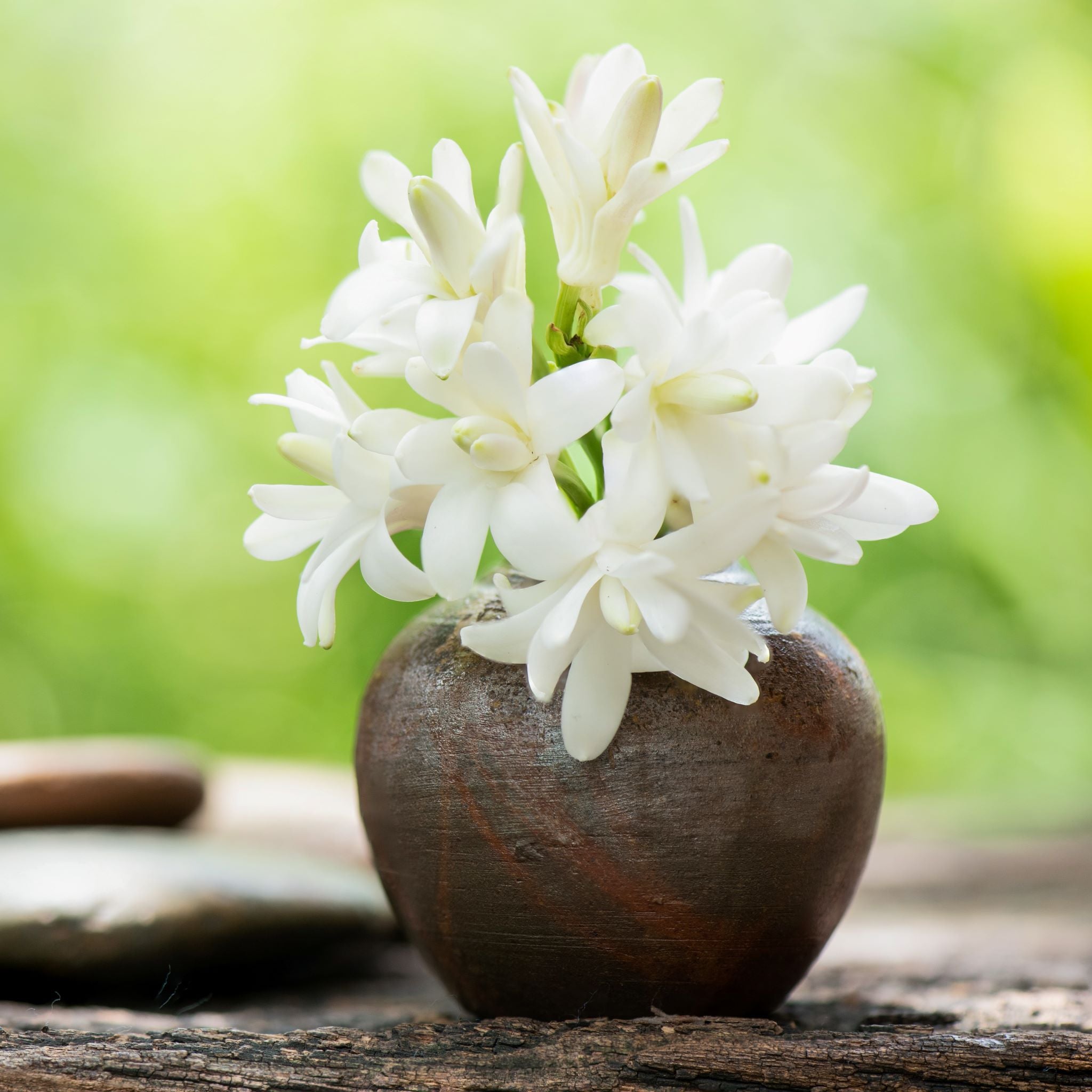 Tuberose Oil