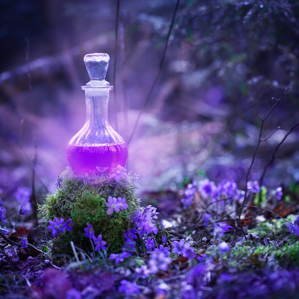 Wicked wholesalers Fragrance Oil Majestic Mountain Sage