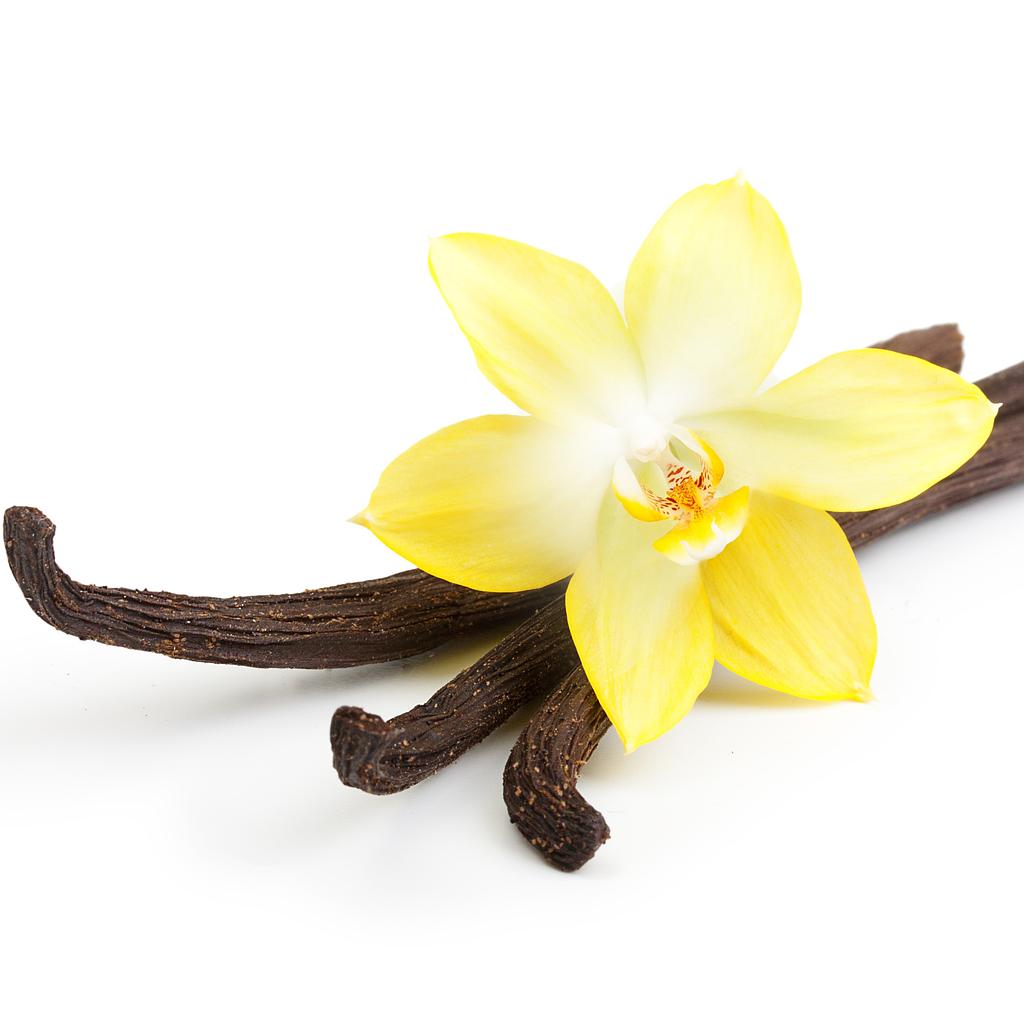 Vanilla 10 Fold Essential Oil