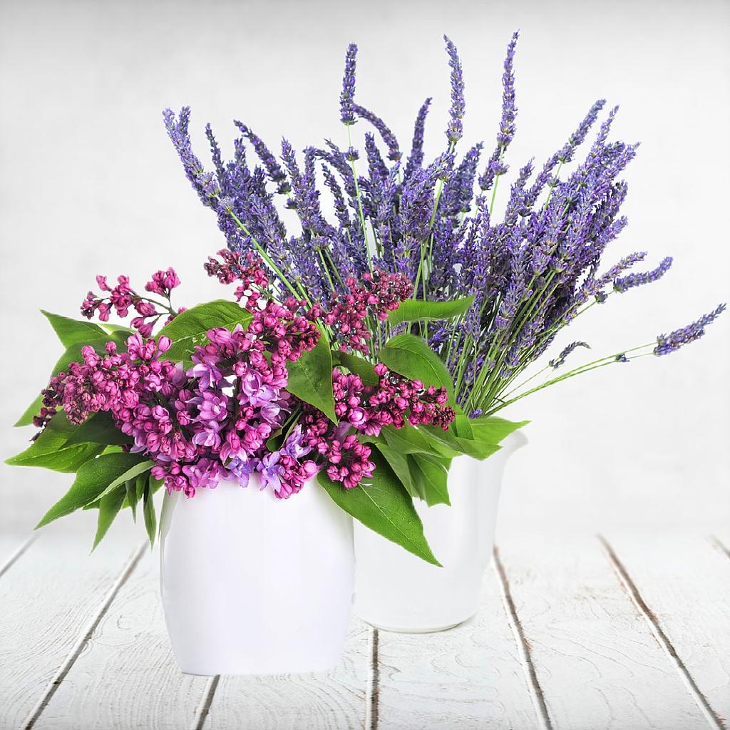 Lilac essential oil in a small bottle. Selective focus. Stock Photo by  solovei23