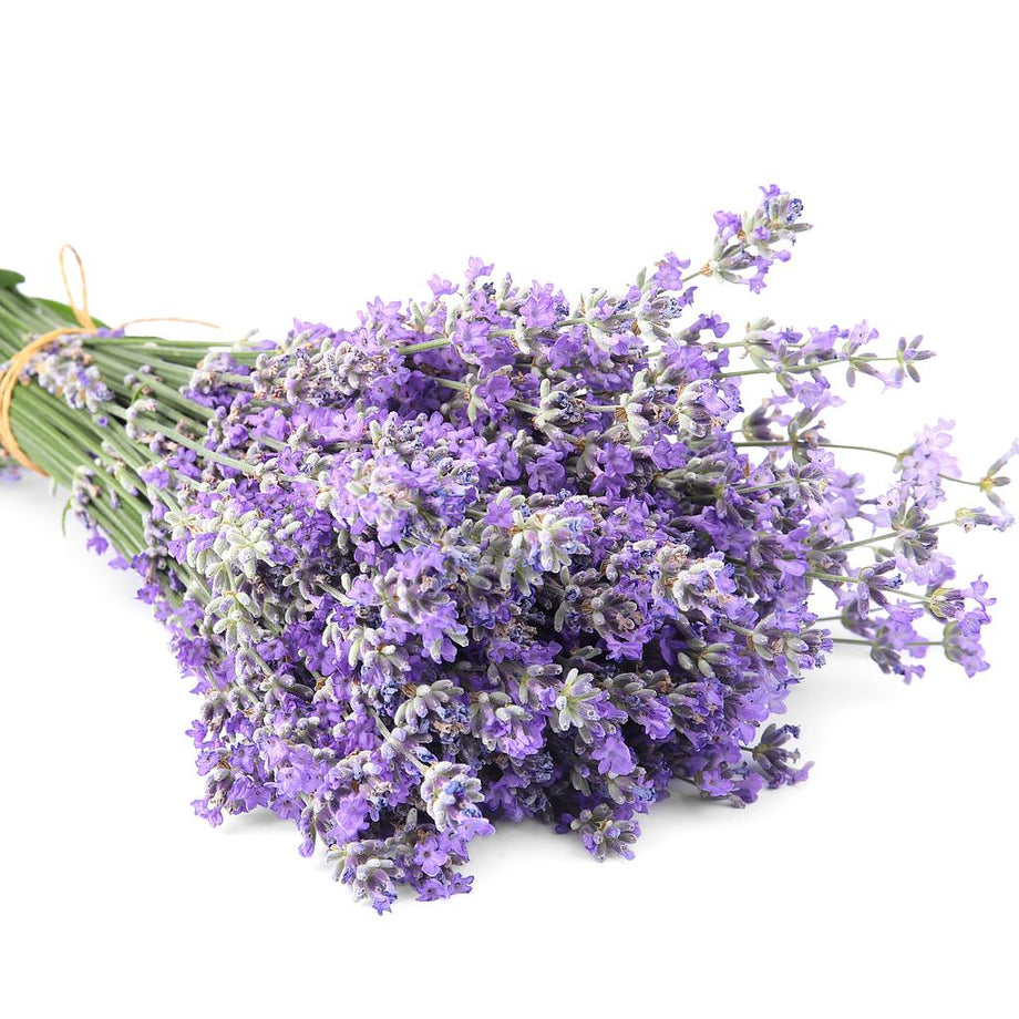 TIMELESS Premium Organic Dried Lavender Flowers – TIMELESS Essential Oils